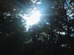 -火炉山森林公园