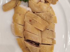 -东江渔村(皇悦店)