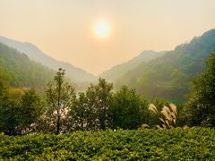 -桃花岭景区