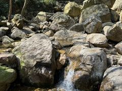 -北仑森林植物园