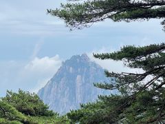 -高一点·徽味酥饼王·黄山烧饼