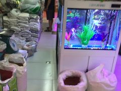 -大自然花鸟鱼虫市场