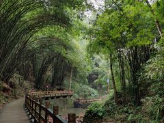 -凤栖山