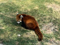 -水上乐园·欢乐世界