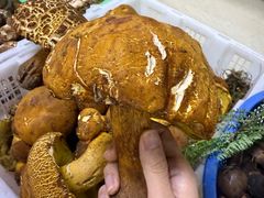 -双喜农庄·菌香园(安居家园店)