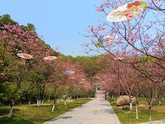 -广州市帽峰山景区