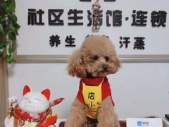-芭比堂动物医院·犬猫全科·异宠专科(雁塔分院)