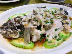 -台山美食一绝阿四台山黄鳝饭(阿四创作店)