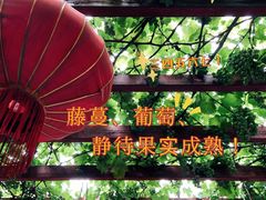 -顺承小院儿