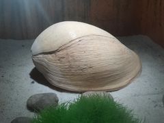 -南昌海洋公园