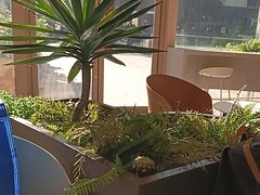 -奈雪的茶(华强北中航城店)