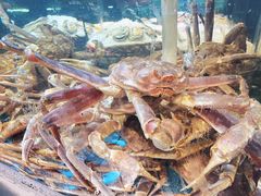 -王庄阿咪海鲜大排档(象园店)