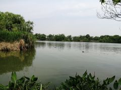 -艾溪湖湿地公园