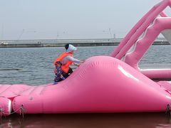 -碧海金沙