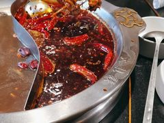 -大龙燚火锅(春熙店)