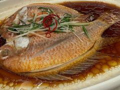 -华盛丰温州大排档(东三环南路店)