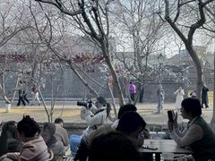 -春风习习