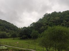 -大水川景区
