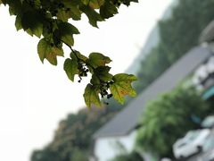 -杭州少年儿童公园