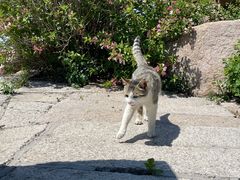 -崂山巨峰游览区