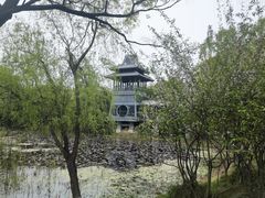 -金鸡湖桃花岛