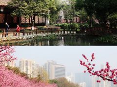 -望江楼公园