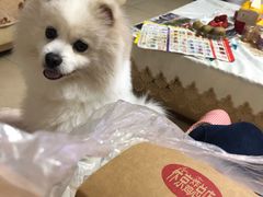 -阿捡忭京炸鸡(韭菜园总店)