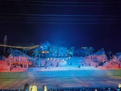-三亚红色娘子军演艺公园景区