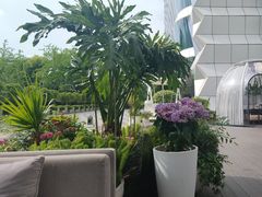 -JW酒廊 JW Lounge(上海鲁能JW万豪侯爵酒店)