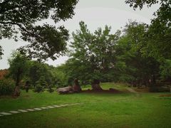 -东湖落雁景区