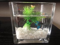 桔子水晶酒店(三元巷店)-南京新街口桔子水晶酒店