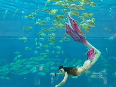 -三亚海昌梦幻海洋不夜城