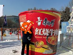 -沈阳奥体冰雪嘉年华