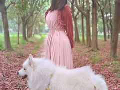 -蜀冈西峰生态公园