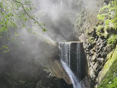 -牛背梁国家森林公园