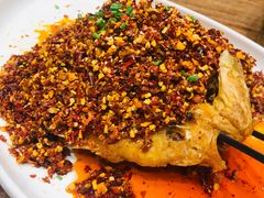 炝锅红桂鱼-辛香汇(飞洲店)