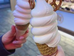 -寿奶茶·鲜奶与茶(合生汇购物中心店)