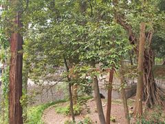 -南华禅寺