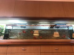 -茂昌眼镜(南京东路店)