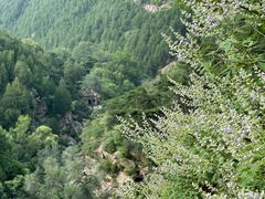 -泰山风景名胜区