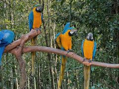 -杭州野生动物世界