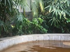 -南宫温泉水世界