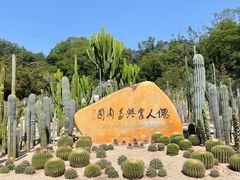 -深圳仙湖植物园