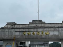 -长洲岛