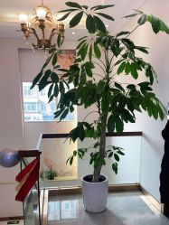 -私家美林护肤造型