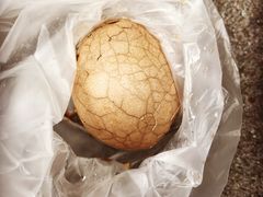-金盆阿嬷香菇茶叶蛋(玄光店)