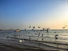 -老虎石海上公园