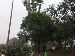 -枫香湖儿童公园