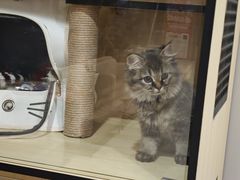 -海底捞火锅(万科广场店)