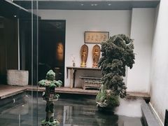 -觀芷隐轩